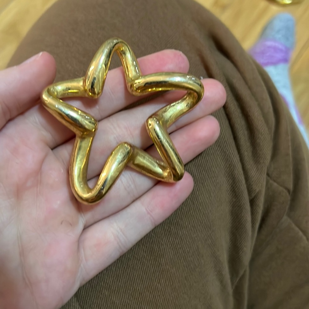 Starfish Brooch
